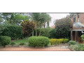house-for-sale-in-gacuriro-2020-estate-small-2