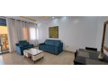 remera-furnished-apartment-for-rent-in-kigali-small-1