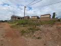 kagugu-small-4