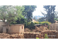remera-close-to-bk-arena-plot-for-sale-in-kigali-small-4