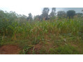 kigali-land-for-sale-in-gisozi-small-1