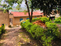 gacuriro-plot-for-sale-small-5