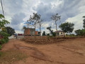 rusororo-small-1