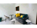 gishushu-furnished-1bedroom-apartment-for-rent-at-700k-in-good-location-small-2