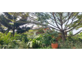 kigali-unfurnished-family-villa-available-for-rent-in-nyarutarama-small-3