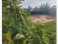 residential-plot-for-sale-near-the-road-and-good-neighbors-small-0