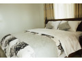 rebero-nice-full-furnished-apartment-for-rent-small-4