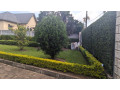 sm160-gacuriro-gacuriro-furnished-an-house-for-rent-in-kigali-rwanda-small-7
