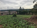 land-for-sale-at-kinyinya-gasabo-small-1