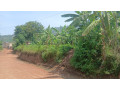 kigali-gasabo-gisasa-plot-for-sale-small-1