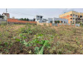 residential-plot-for-sale-near-the-road-and-good-neighbors-small-0