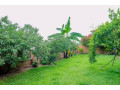full-furnished-house-for-rent-in-kibagabaga-small-5