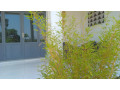 kigali-house-for-sale-in-kacyiru-small-2