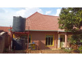 kigali-house-for-sale-in-remera-small-3