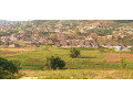 masizi-plot-for-sale-small-0