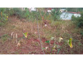 kigali-land-for-sale-in-rebero-facing-nyamirambo-side-small-0