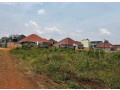 plot-for-sale-in-kicukiro-at-agood-place-small-0