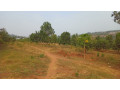 plot-for-sale-in-ndera-on-auctioncyamunara-small-9