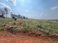 bugesera-residential-plot-for-sale-in-kanzenze-small-5