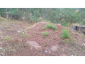 kigali-land-for-sale-in-rebero-rujugiro-small-5