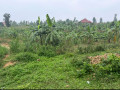 land-in-bugesera-ntarama-small-1