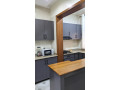 bb-003-kibagabaga-furnished-apartment-for-rent-small-12