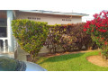 kigali-land-for-sale-in-remera-small-2