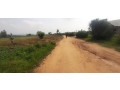 plot-for-sale-in-bugesera-near-airport-hot-deal-small-2