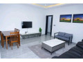 kigali-fully-furnished-apartment-for-rent-in-kimihurura-small-2