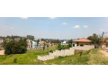 nyarutarama-plot-for-sale-500m-small-7