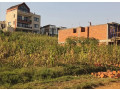 plot-for-sale-60m-rusororo-small-0