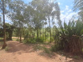 gacuriro-small-2