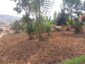 kigali-land-for-sale-in-kimironko-small-1