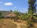 rebero-plot-for-sale-small-1
