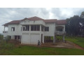 large-plot-for-sale-small-9