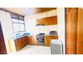 remera-furnished-apartment-for-rent-in-kigali-small-4