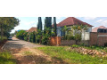 rusororo-plot-for-sale-small-3