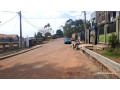remera-near-bk-arena-land-for-sale-in-kigali-small-1