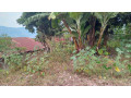 kigali-land-for-sale-in-nyamirambo-small-6