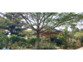kigali-unfurnished-family-villa-available-for-rent-in-nyarutarama-small-4