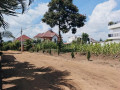 rusororo-plot-for-sale-75m-small-0