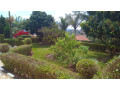 house-for-sale-in-nyamirambo-cyivugiza-small-10