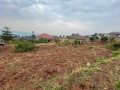 kigali-land-for-sale-in-rebero-mataba-small-6