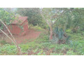 plot-for-sale-in-nyamirambo-mumena-small-6