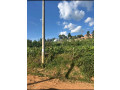 kagugu-batsinda-plot-for-sale-small-1