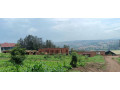 nice-and-cheap-plot-for-sale-in-kagugu-dont-miss-small-1