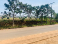 ep-120-kinyinya-kinyinya-very-nice-and-cheapest-big-plot-for-sale-100-usdsqmt-small-2