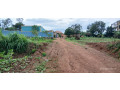 busanza-small-3