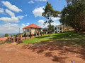 rebero-small-2