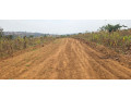 ibibanza-bigurishwa-rusororo-small-4